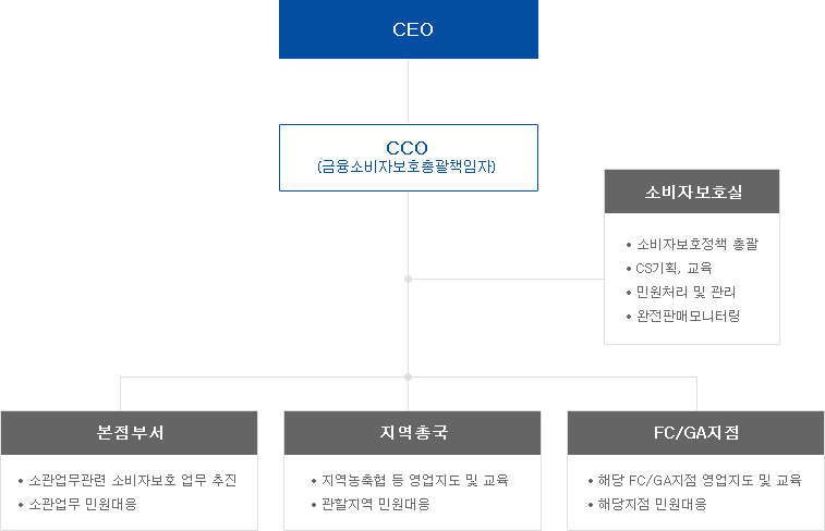 금융소비자보호 조직 안내